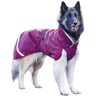 Waterproof dog outlet jumper